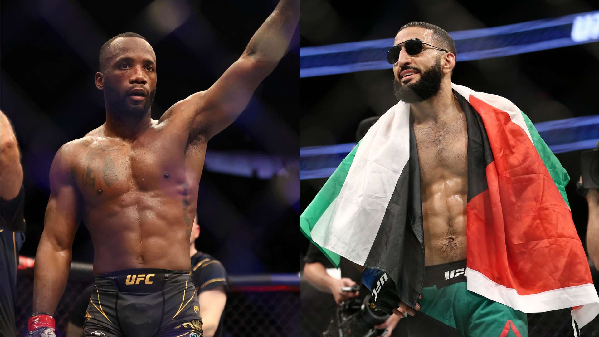 懷特本賽季 懷特本賽季